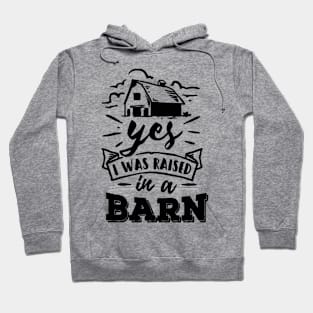 Yes, I Was Raised In a Barn Hoodie